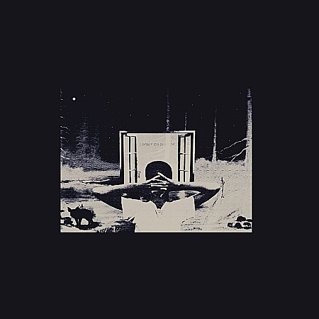 Vinyl - Earl Sweatshirt - I Don'T Like Shit, I Don'T Go Outside: An Album By Earl Sweatshirt (180G Audiophile Pressing) - LP