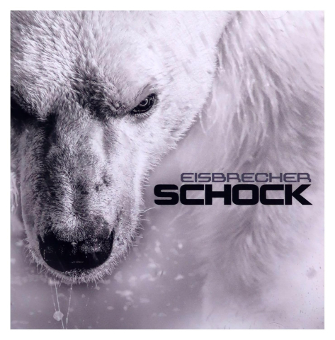 Muzica - Eisbrecher - Schock - CD