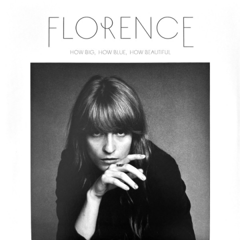 Muzica - Florence and The Machine - How Big, How Blue, How Beautiful - LP