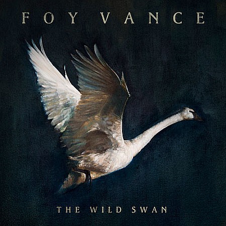 Vinyl - Foy Vance - The Wild Swan - LP