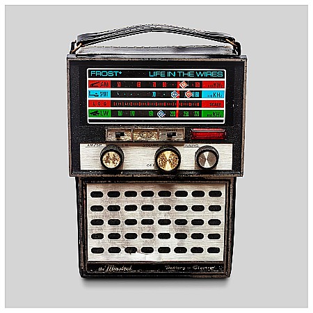 Muzica - Frost - Life In The Wires - 2LP