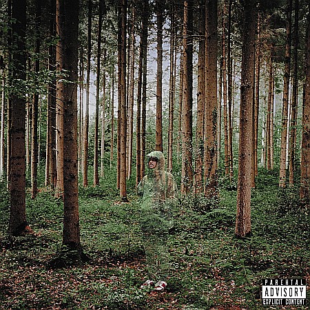 Muzica - Grandson - I Love You, I M Trying - LP