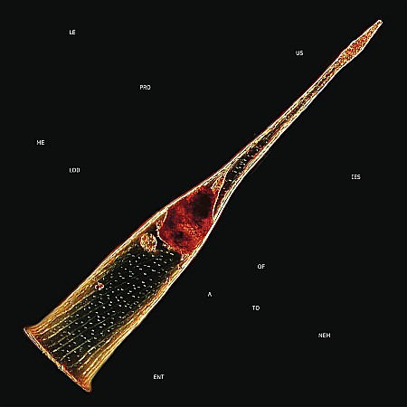 CD - Leprous - Melodies Of Atonement - CD