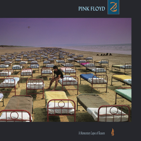 Vinyl - Pink Floyd - A Momentary Lapse Of Reason - LP