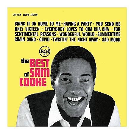 Vinyl - Sam Cooke-The Best Of Sam Cooke-LP