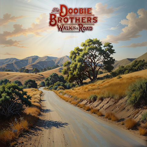 Vinyl - The Doobie Brothers - Walk This Road - LP
