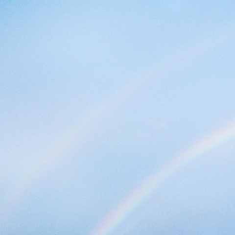 Muzica - Turnstile - Never Enough - LP