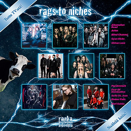 Muzica - Rags To Riches - Rags To Niches - LP