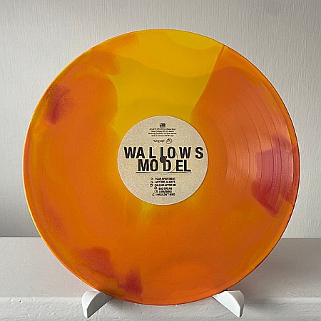 Vinyl - Wallows - Model - LP
