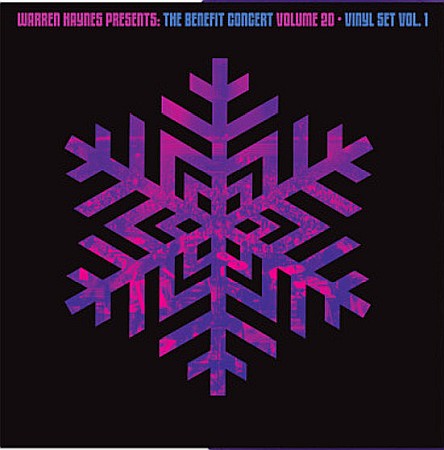 Vinyl - Warren Haynes, Grace Potter, Joe Bonamassa, Jim James, Marco Benevento, Jamey Johnson, Mike Gordon, - Warren Haynes Presents: The Benefit Concert Volume 20 Vinyl Vol. 1 - Purple - 2LP