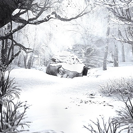 CD - Weezer - Sznz: Winter - CD