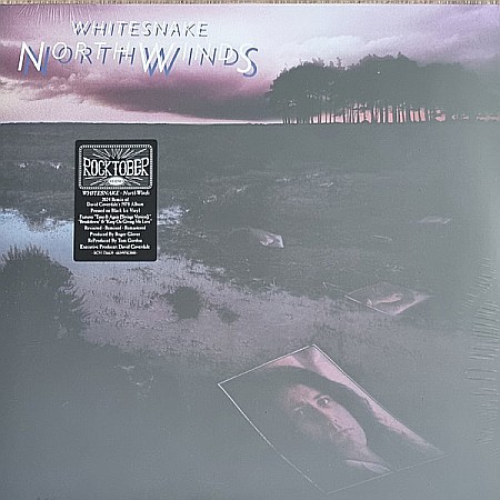 Vinyl - Whitesnake - Northwinds - LP
