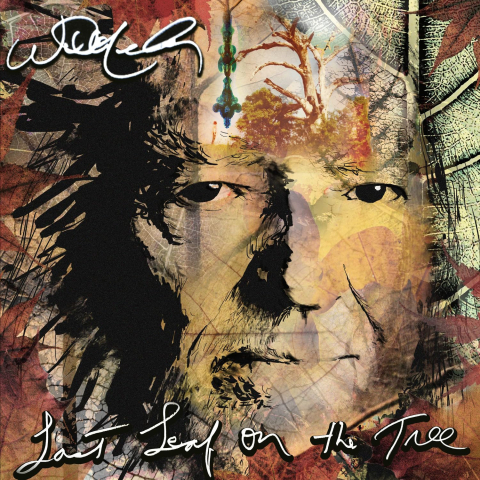 CD - Willie Nelson - Last Leaf On The Tree - CD