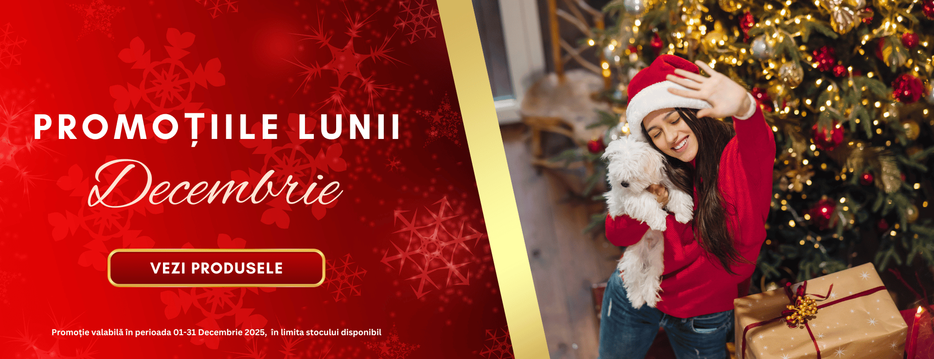 Promotiile lunii Decembrie