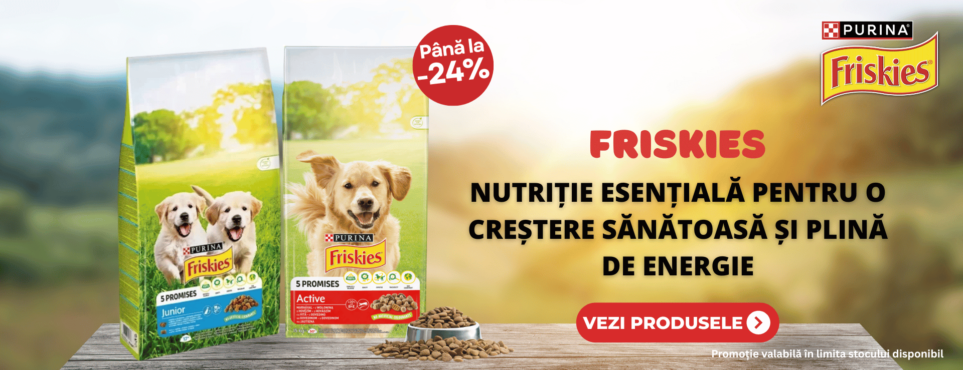 Promo Purina Friskies