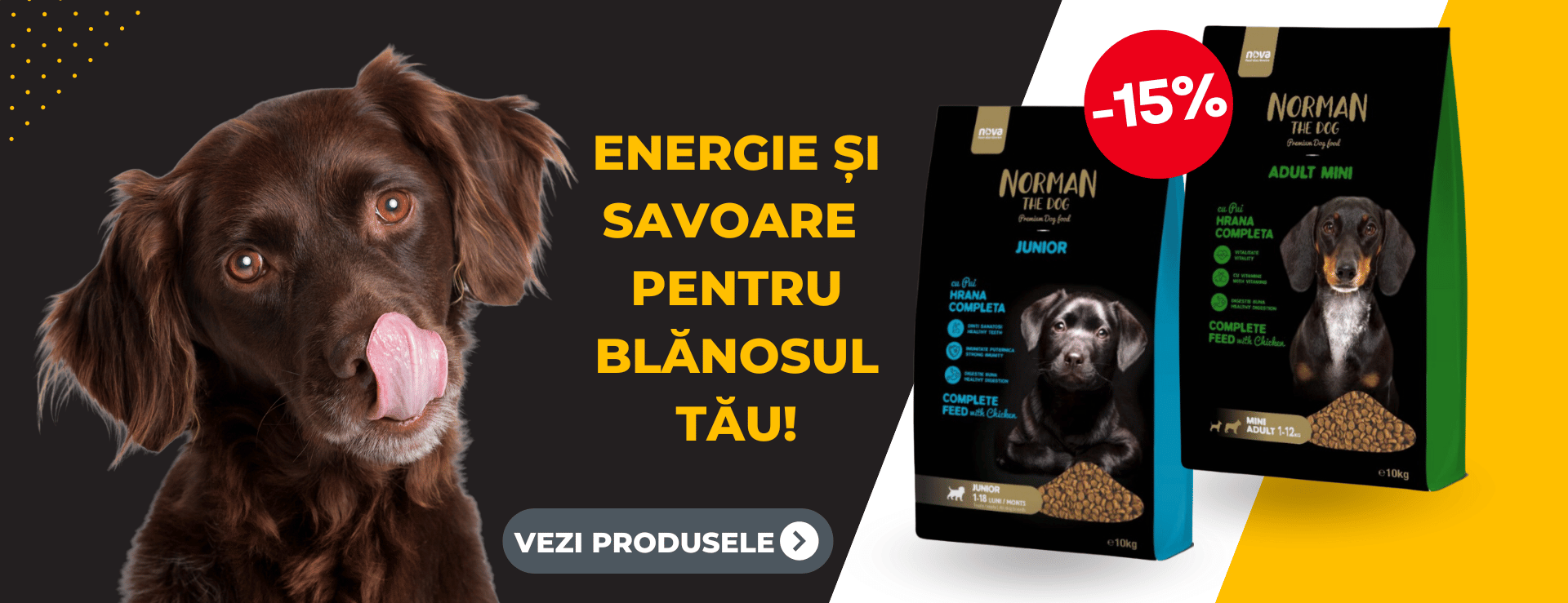 Promo Norman