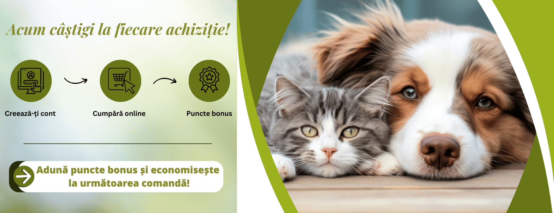 Puncte bonus