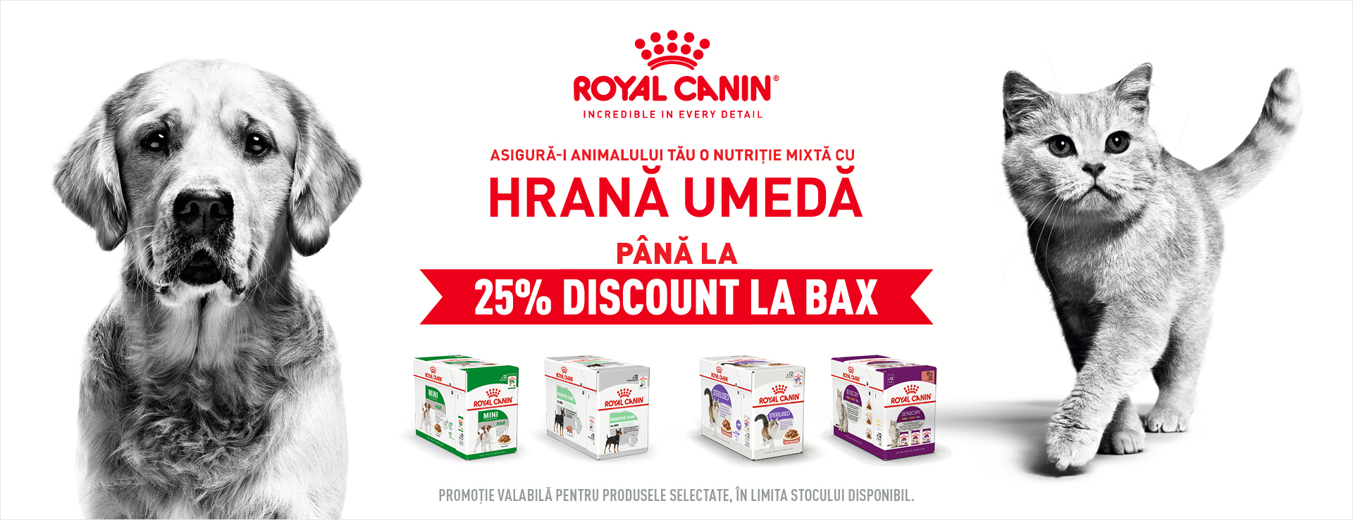 promo