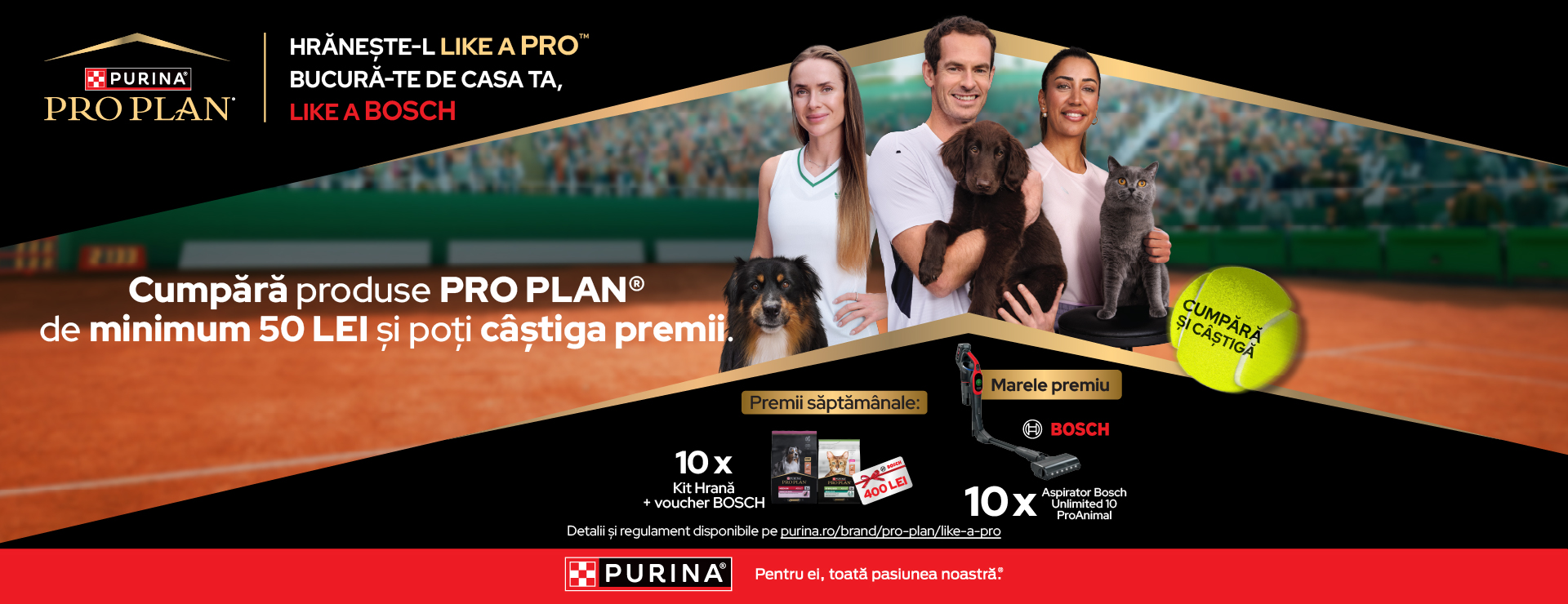 Pro Plan Like a Pro