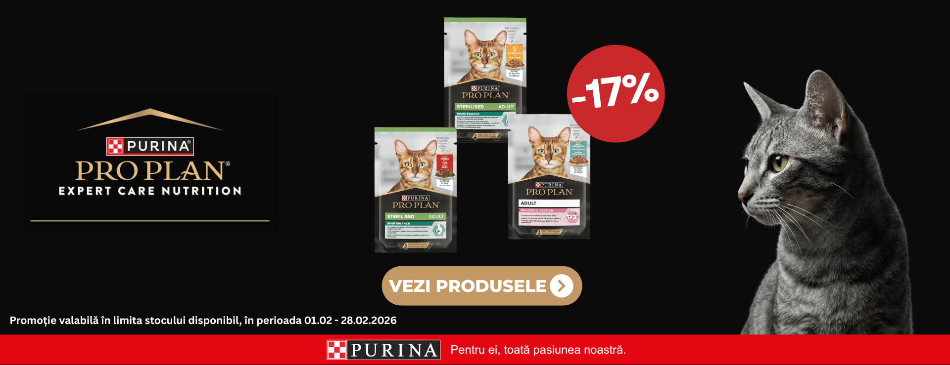 Promo Pro Plan Plicuri