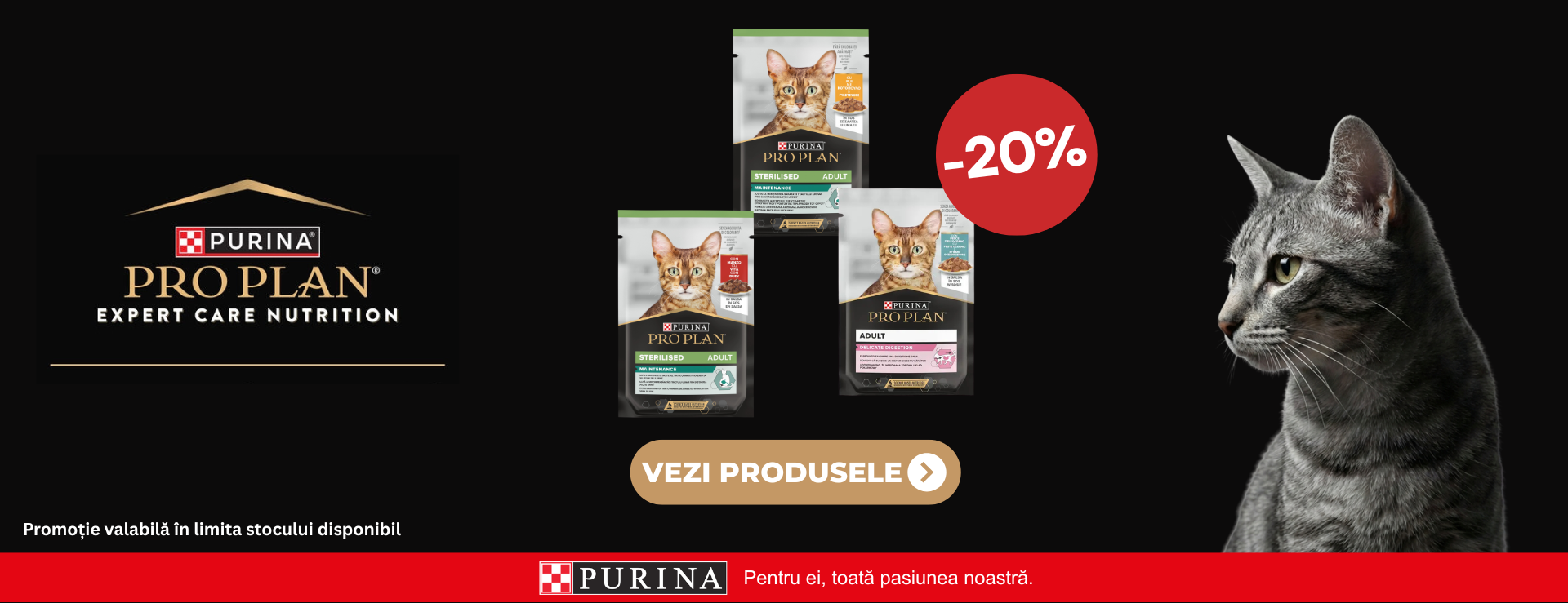 Promo Pro Plan Plicuri
