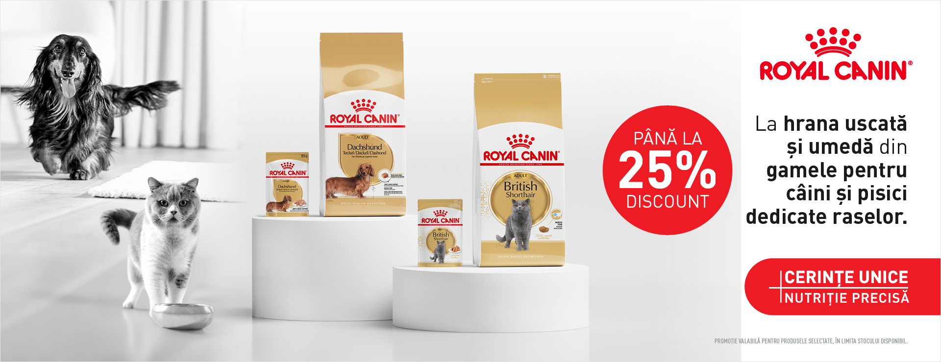 Promo Royal Canin 25% discount rase