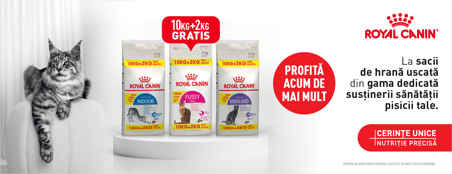 Promo Royal Canin 10 + 2 Kg