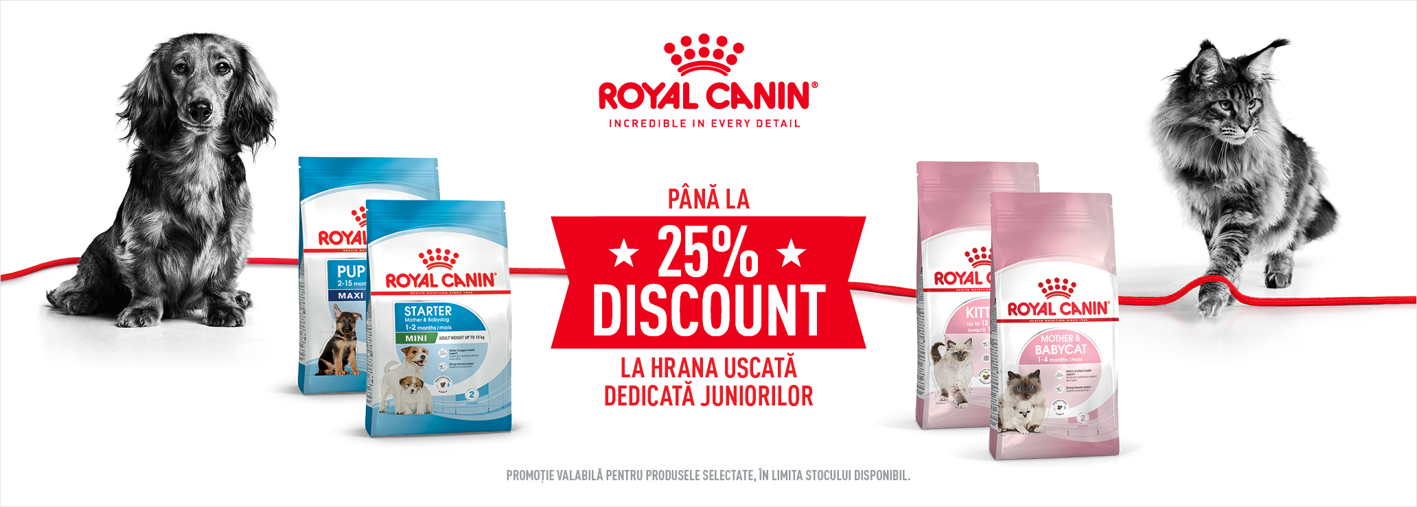 promo