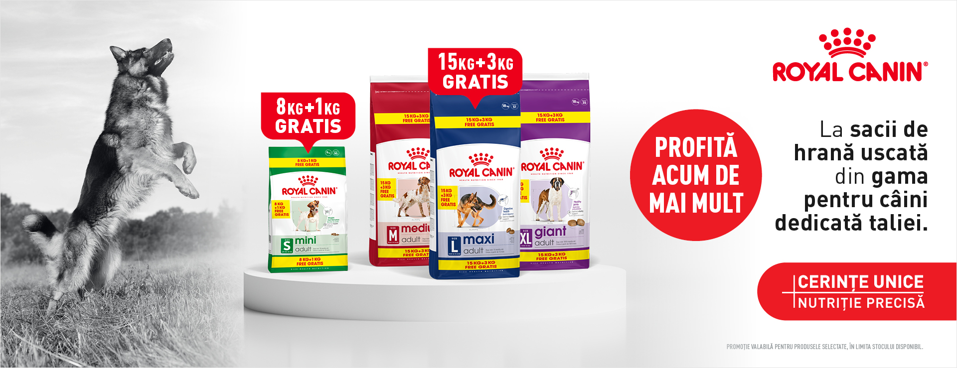 Promo Royal Canin saci mari