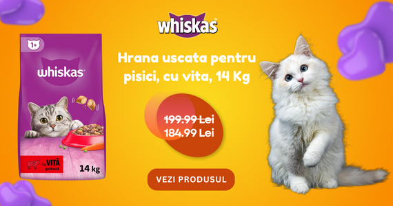 Whiskas cu vita 14kg