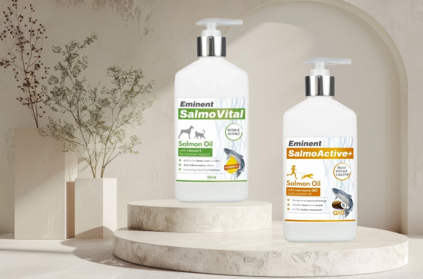 Uleiul de somon pentru câini și pisici: beneficii, dozaj și recomandări