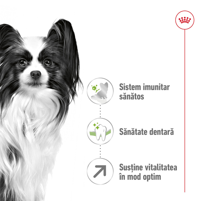 Royal Canin X-Small Adult, hrana uscata caini, 8 ani+, 1.5kg [11]