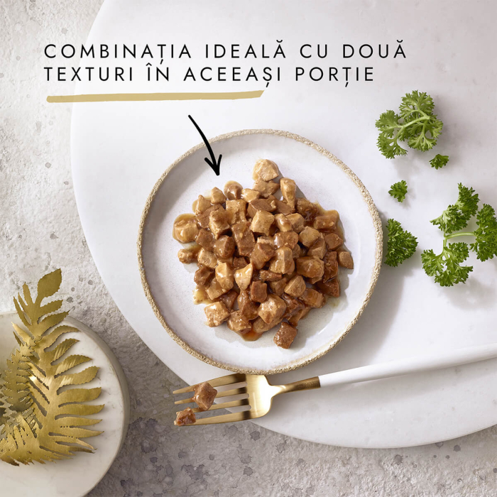 Hrana umeda pentru pisici Purina Gourmet Gold Double Pleasure, Peste oceanic si spanac in sos, 24 x 85g [4]