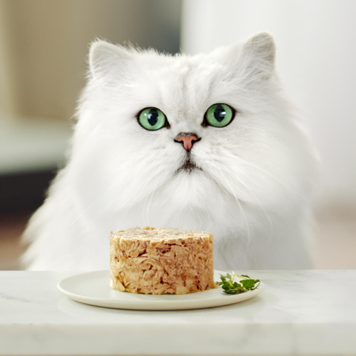 GOURMET GOLD Savoury Cake cu Miel si Fasole verde, hrana umeda pentru pisici, 85 g [5]