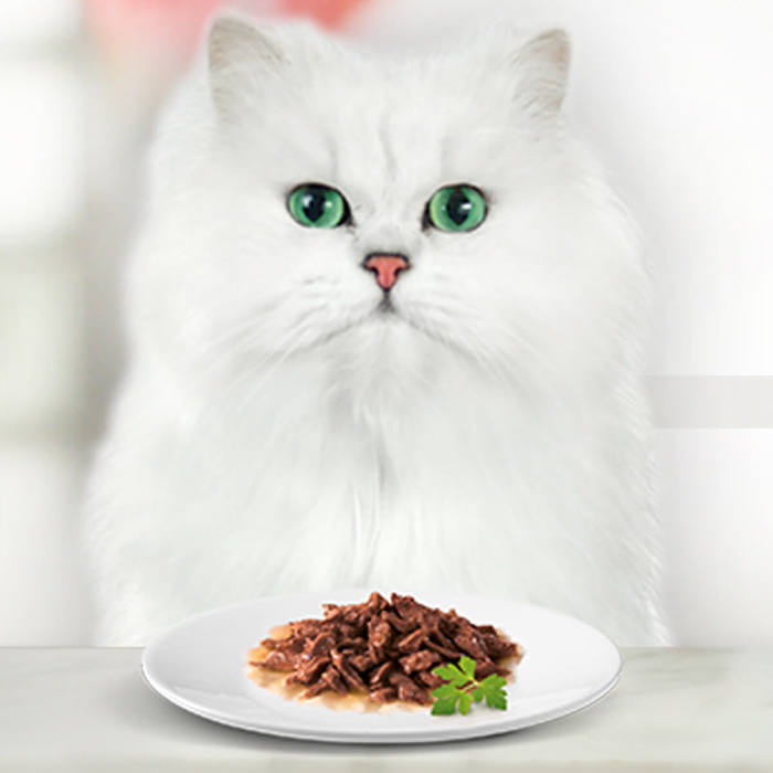 GOURMET MON PETIT cu Somon, Ton, Pastrav in sos, hrana umeda pentru pisici, 6 x 50 g [6]