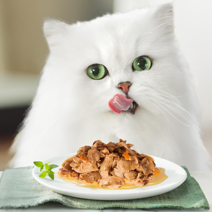 Hrana umeda pentru pisici Purina Gourmet Nature's Creations, Curcan, pastarnac si spanac, 85g [2]