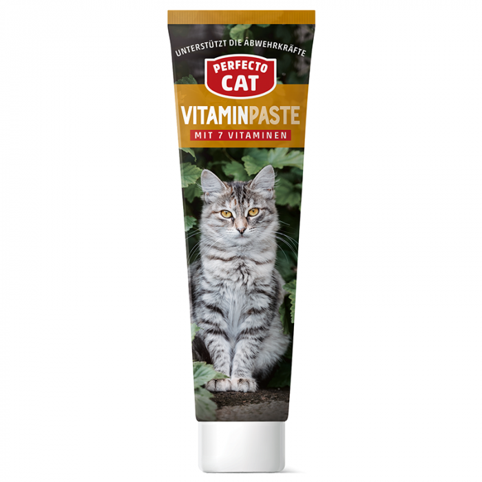 Hrana umeda pentru pisici Perfecto Cat, Crema cu vitamine, 100g