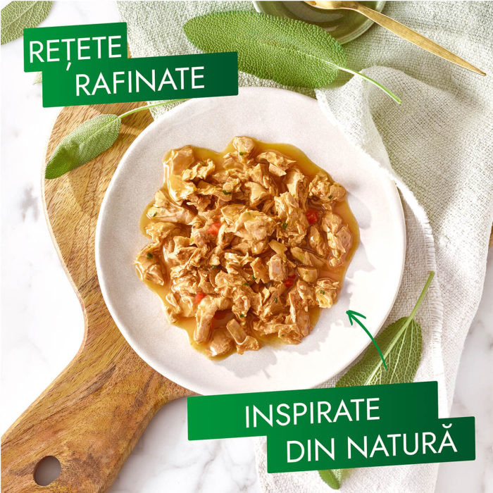 Hrana umeda pentru pisici Purina Gourmet Nature's Creations, Curcan, pastarnac si spanac, 12 x 85g [3]