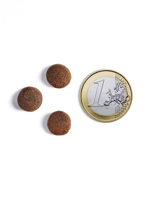 Hrana uscata pentru caini Ambrosia Adult Mini Senior Steril, Somon si curcan, hipoalergenic, fara cereale, 1.5kg [5]
