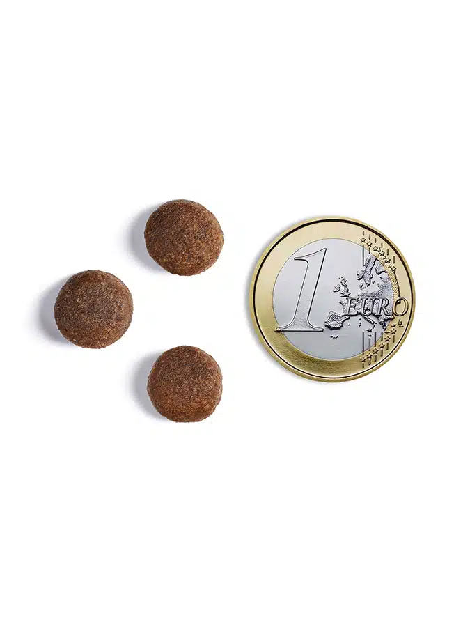 Hrana uscata pentru caini Ambrosia Junior, Pui proaspat si somon, hipoalergenic, fara cereale, 12kg [5]