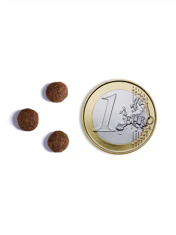 Hrana uscata pentru caini Ambrosia Junior, Pui si peste, hipoalergenic, fara cereale, 6 Kg [4]
