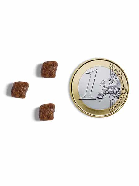 Hrana uscata pentru pisici Ambrosia Kitten, Curcan si pui, hipoalergenic, fara cereale, 5kg [4]