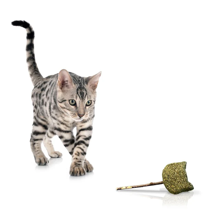 Jucarie pentru pisica Croci Euphoria Cat Catnip, 14 cm [3]