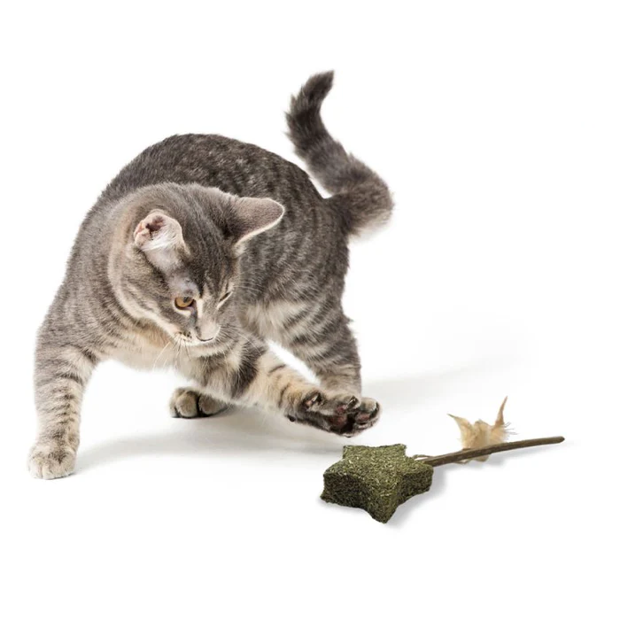 Jucarie pentru pisici Croci Euphoria Stella, stea cu catnip, 12 cm [3]