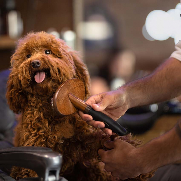 Perie profesionala pentru caini Croci Barbershop, tip Carder [2]