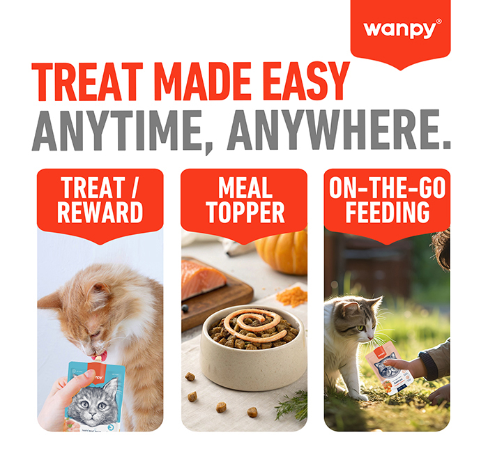 Recompensa cremoasa pentru pisici Wanpy Tasty Meat, cu Rata si dovleac, 90g [7]