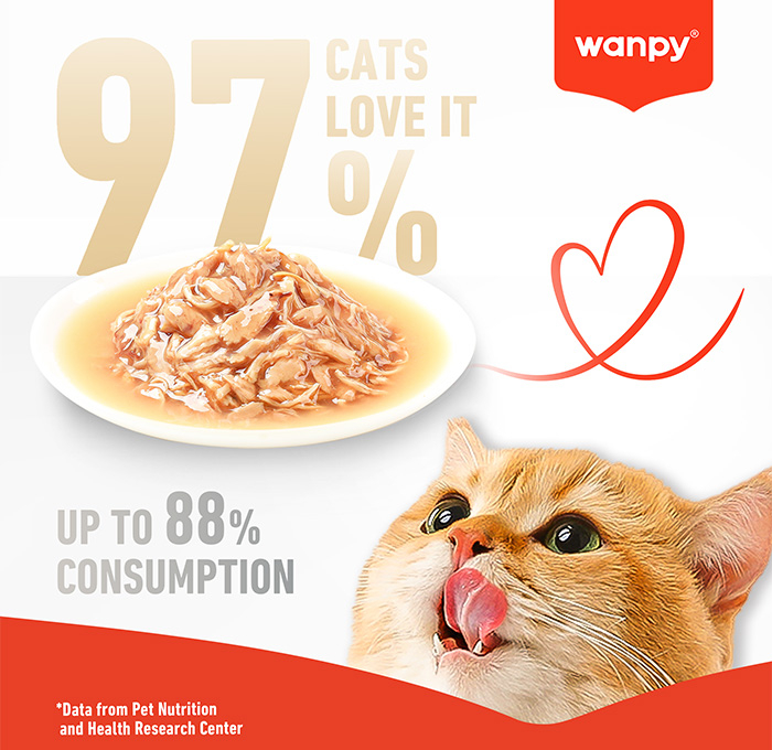 Hrana umeda (supa) pentru pisici Wanpy, cu Ton in sos, 70g [3]