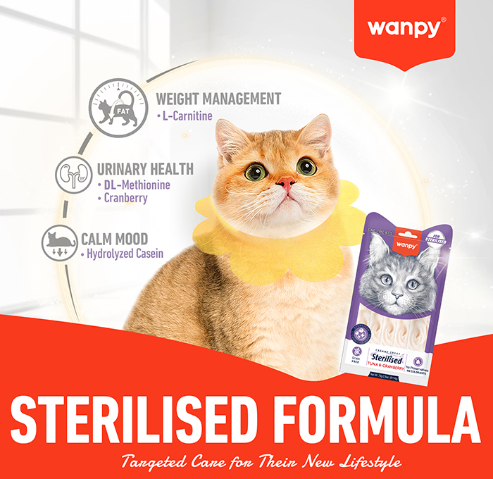 Recompense cremoase pentru pisici sterilizate Wanpy Senior 7+, cu Pui si ficat, Grain Free, 5 x 14g [4]