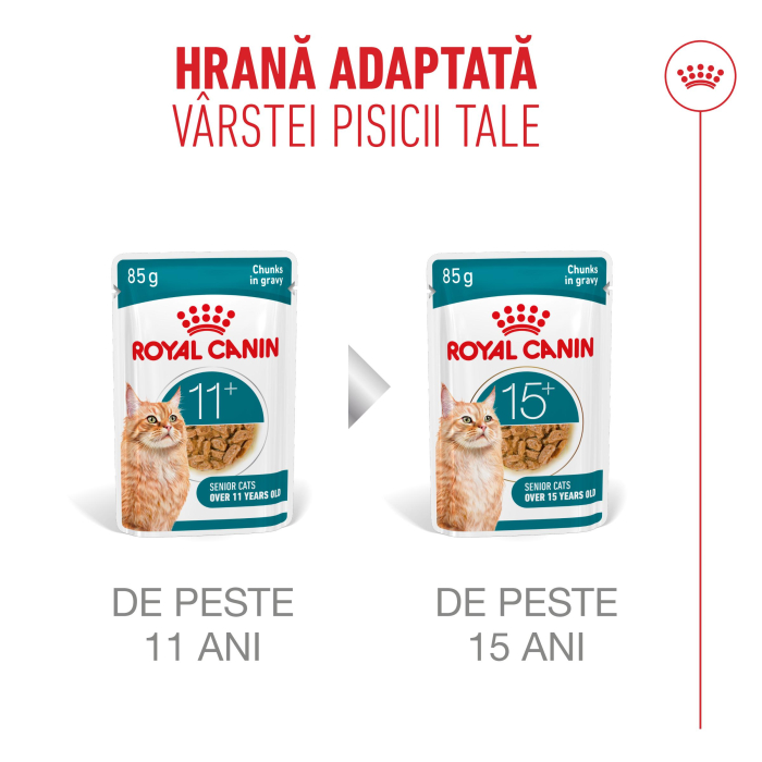 Royal Canin Ageing 11+ hrana umeda pentru pisici in sos, 12 x 85g [7]