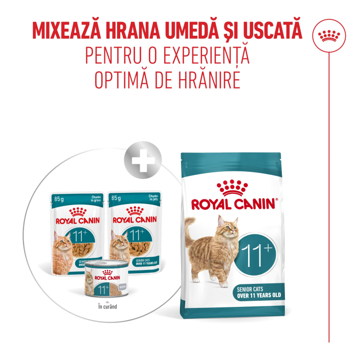 Royal Canin Ageing 11+ hrana umeda pentru pisici in sos, 12 x 85g [8]